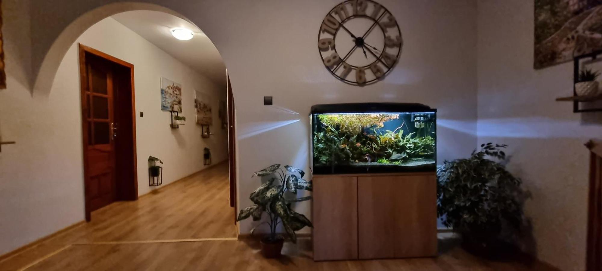 Noclegi Na Lacznej Świebodzice Buitenkant foto